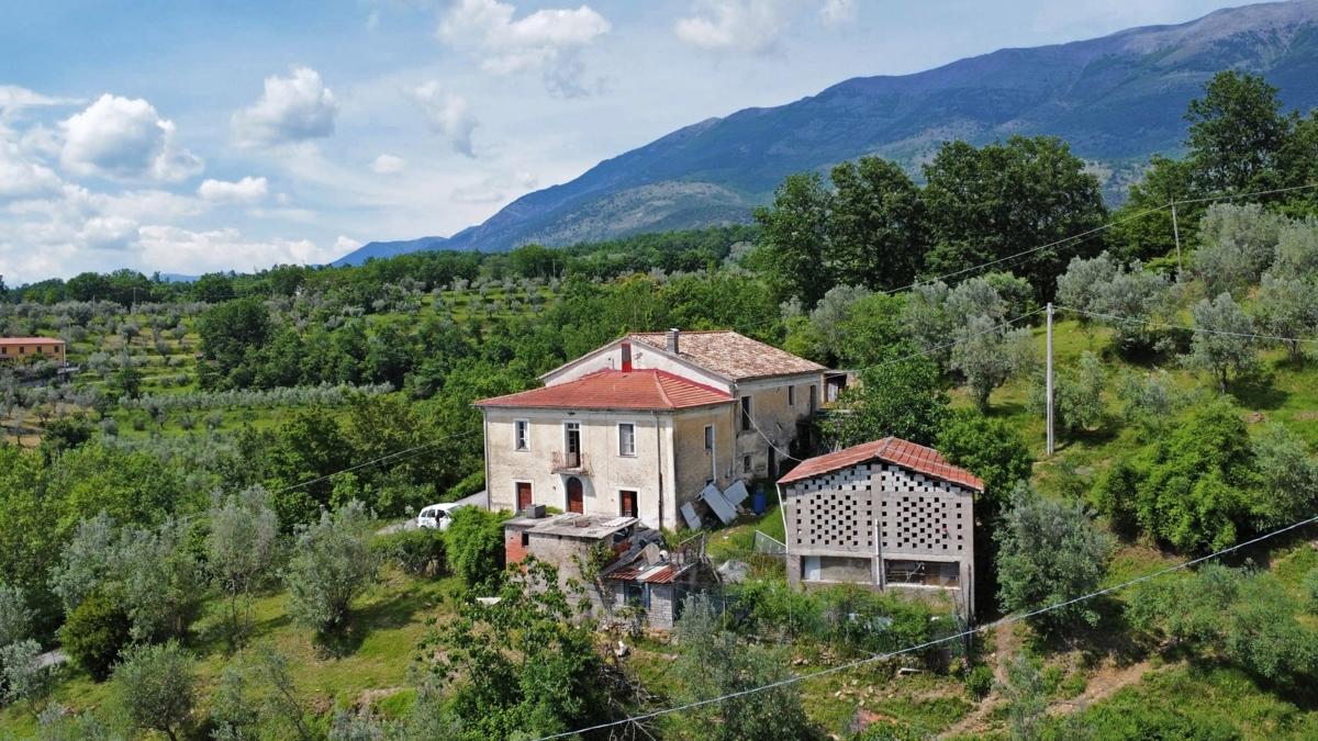 immagine annuncio 5 di 12