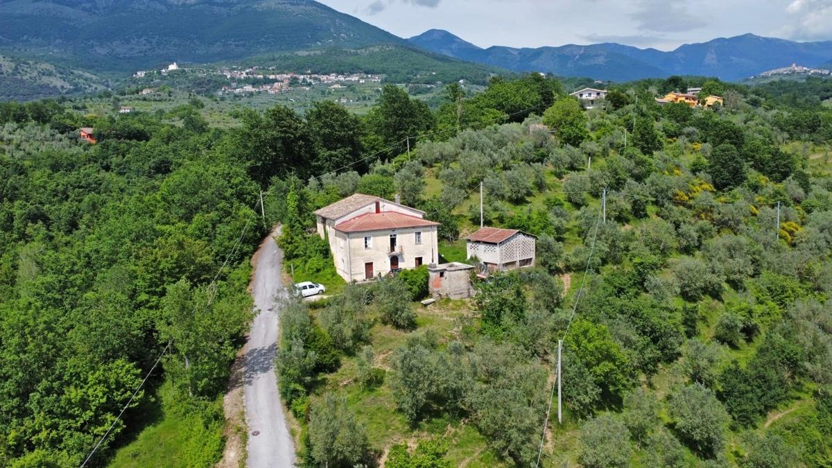 immagine annuncio 2 di 12