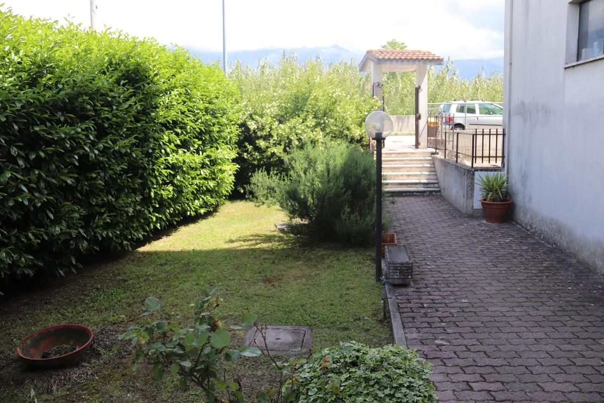 immagine annuncio 11 di 13