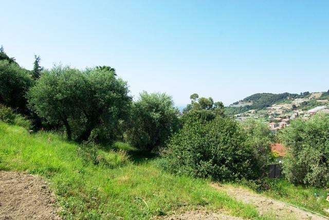 immagine annuncio 5 di 7