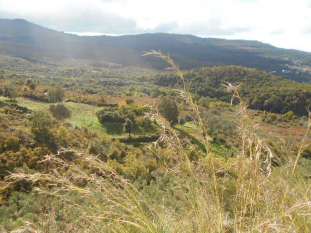 Terreno agricolo in Mercato Cilento S.N.C, Perdifumo - Foto 1