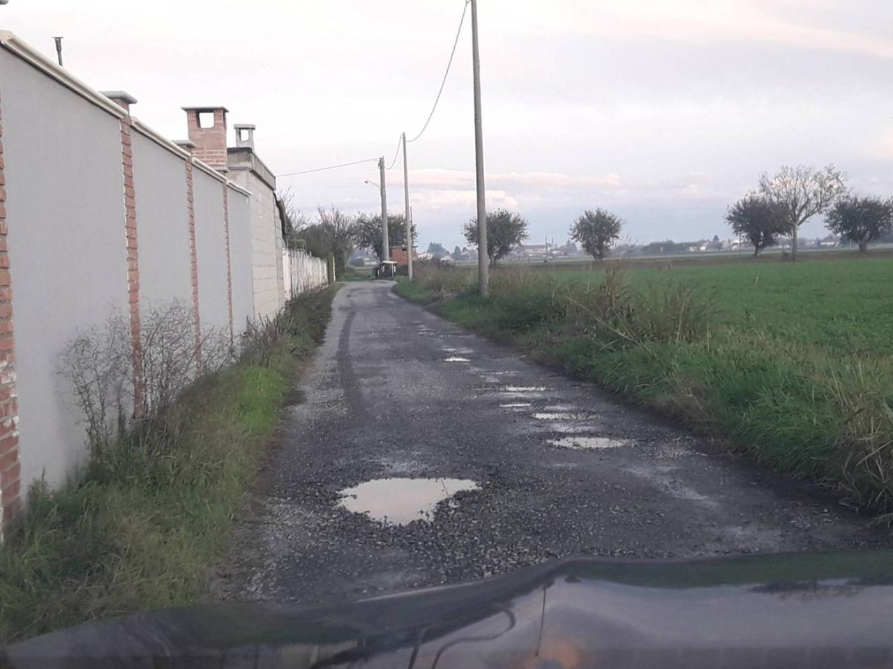 immagine annuncio 12 di 15