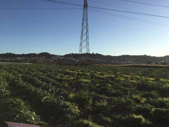 Terreno agricolo in vendita a Licata