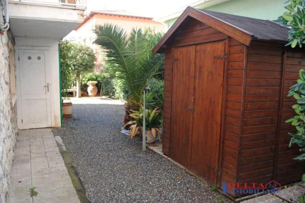 immagine annuncio 6 di 14