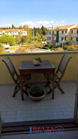 immagine annuncio 7 di 13