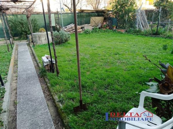 immagine annuncio 10 di 13