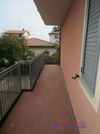 immagine annuncio 3 di 8