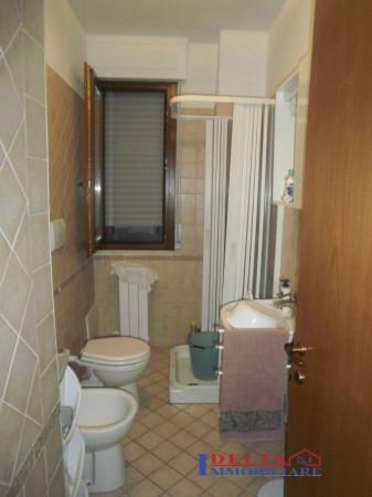 insertion image