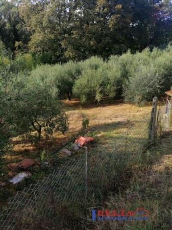 immagine annuncio 2 di 4