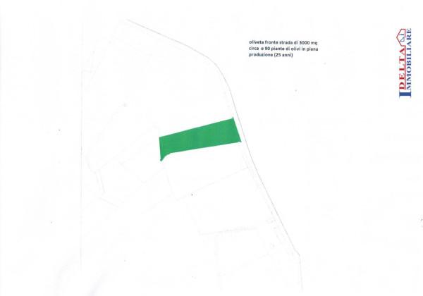 immagine annuncio 1 di 2