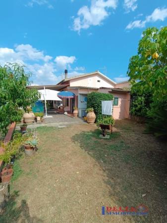 terreno agricolo in vendita a Cecina