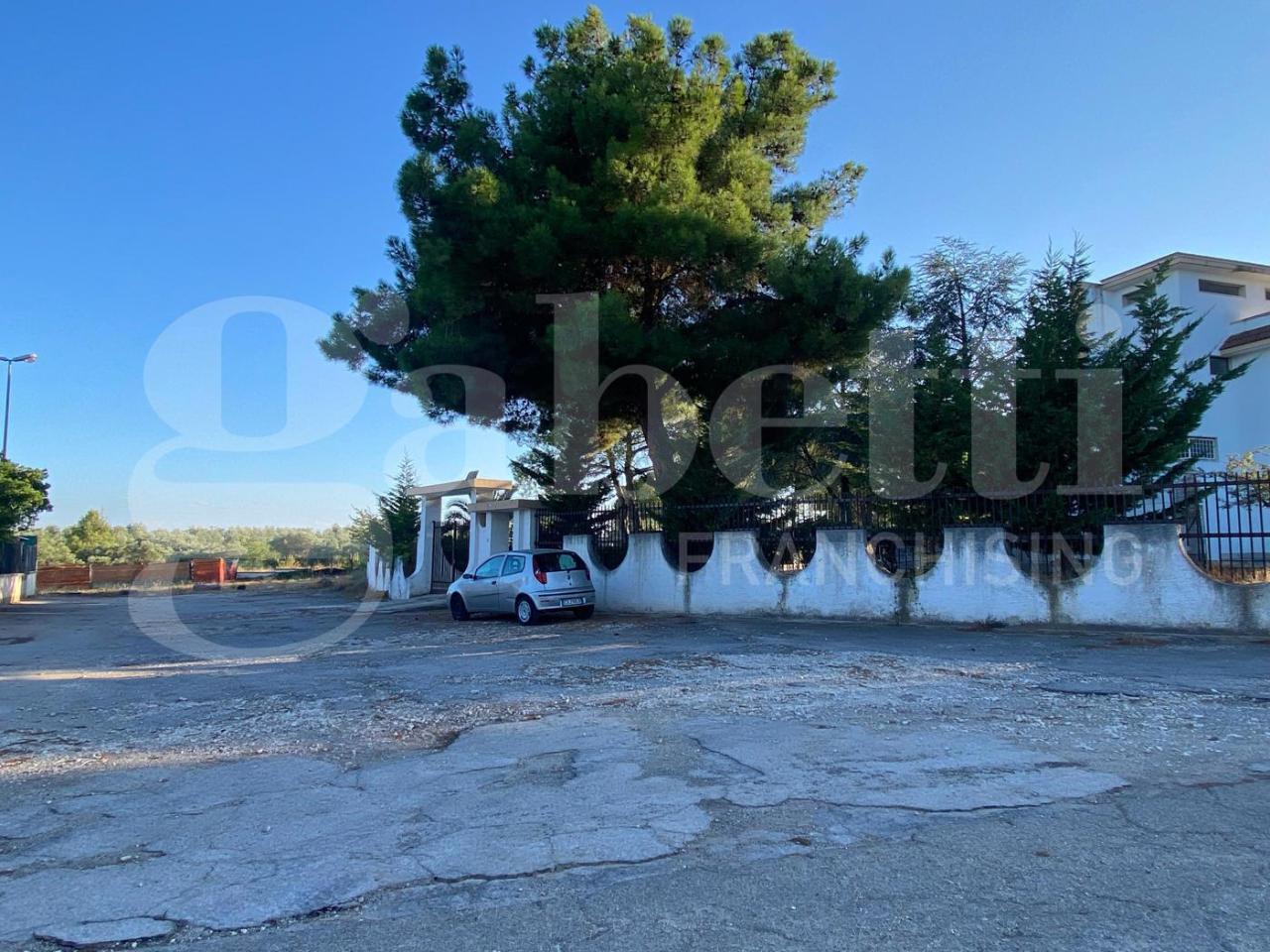 immagine annuncio 1 di 6