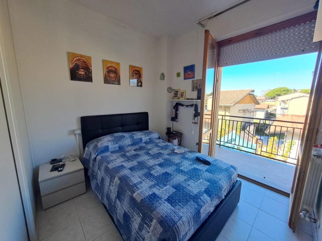 immagine annuncio 6 di 14