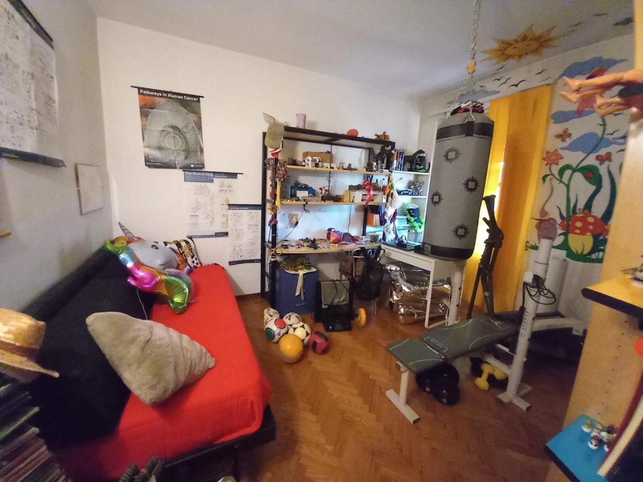 immagine annuncio 9 di 15