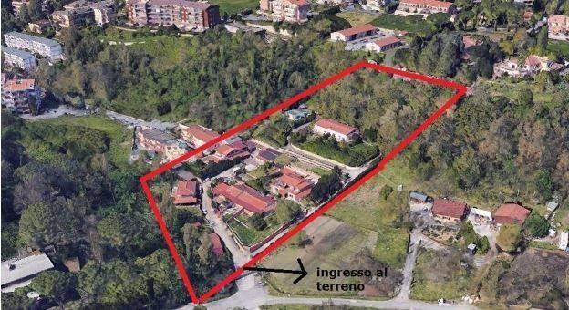 immagine annuncio 3 di 4