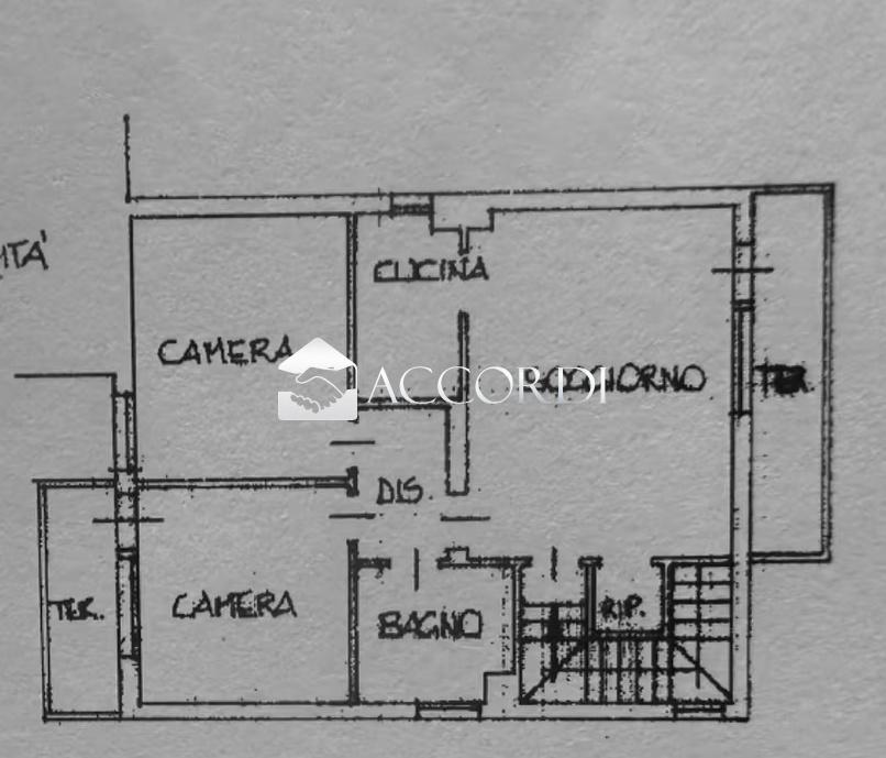 immagine annuncio 5 di 6