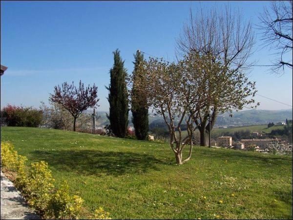immagine annuncio 8 di 9