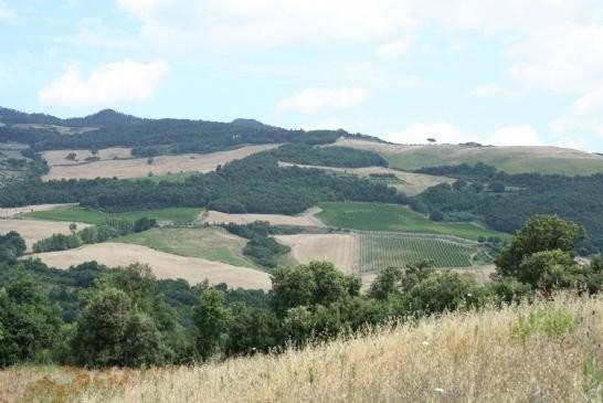 Azienda agricola in , Volterra, {3} - Foto 1