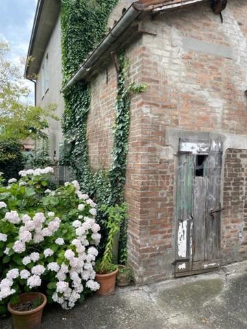 immagine annuncio 12 di 14
