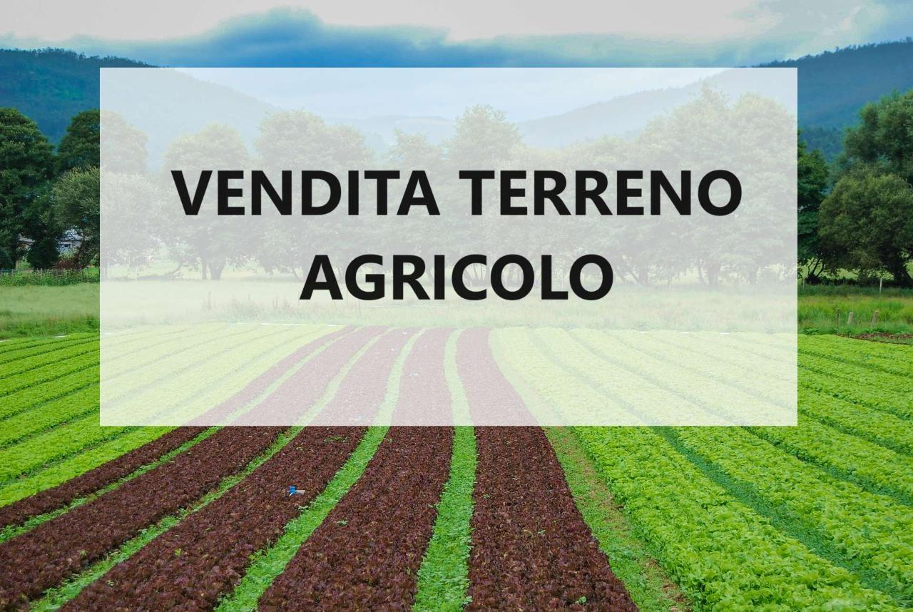 Terreno agricolo in vendita a Camponogara