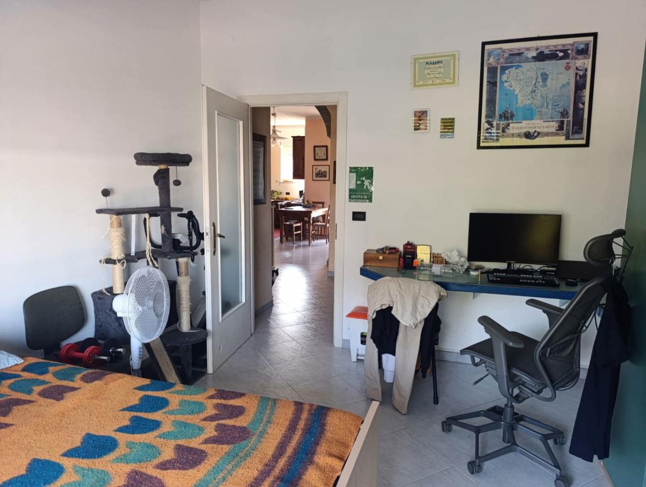 immagine annuncio 6 di 13