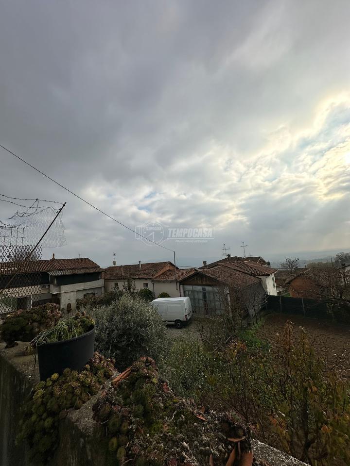 immagine annuncio 5 di 7