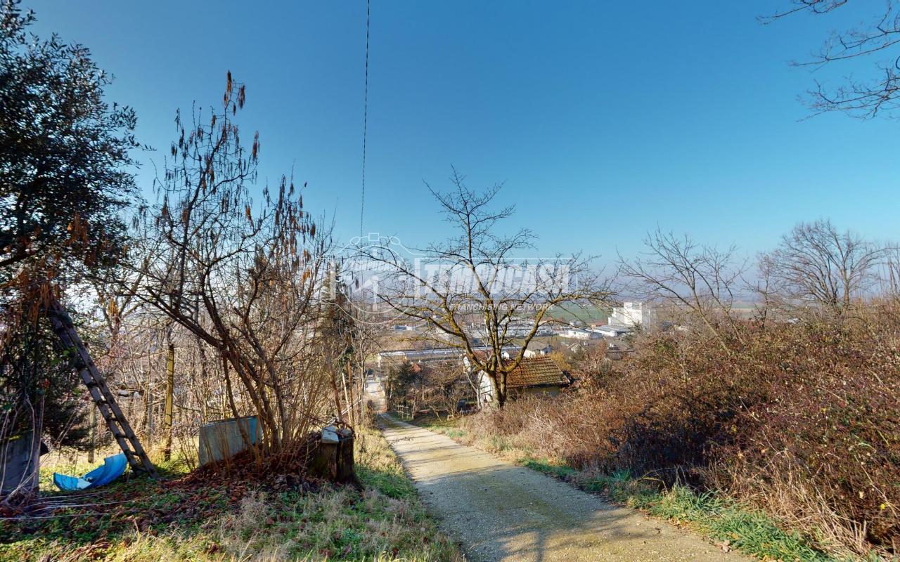 immagine annuncio 1 di 12