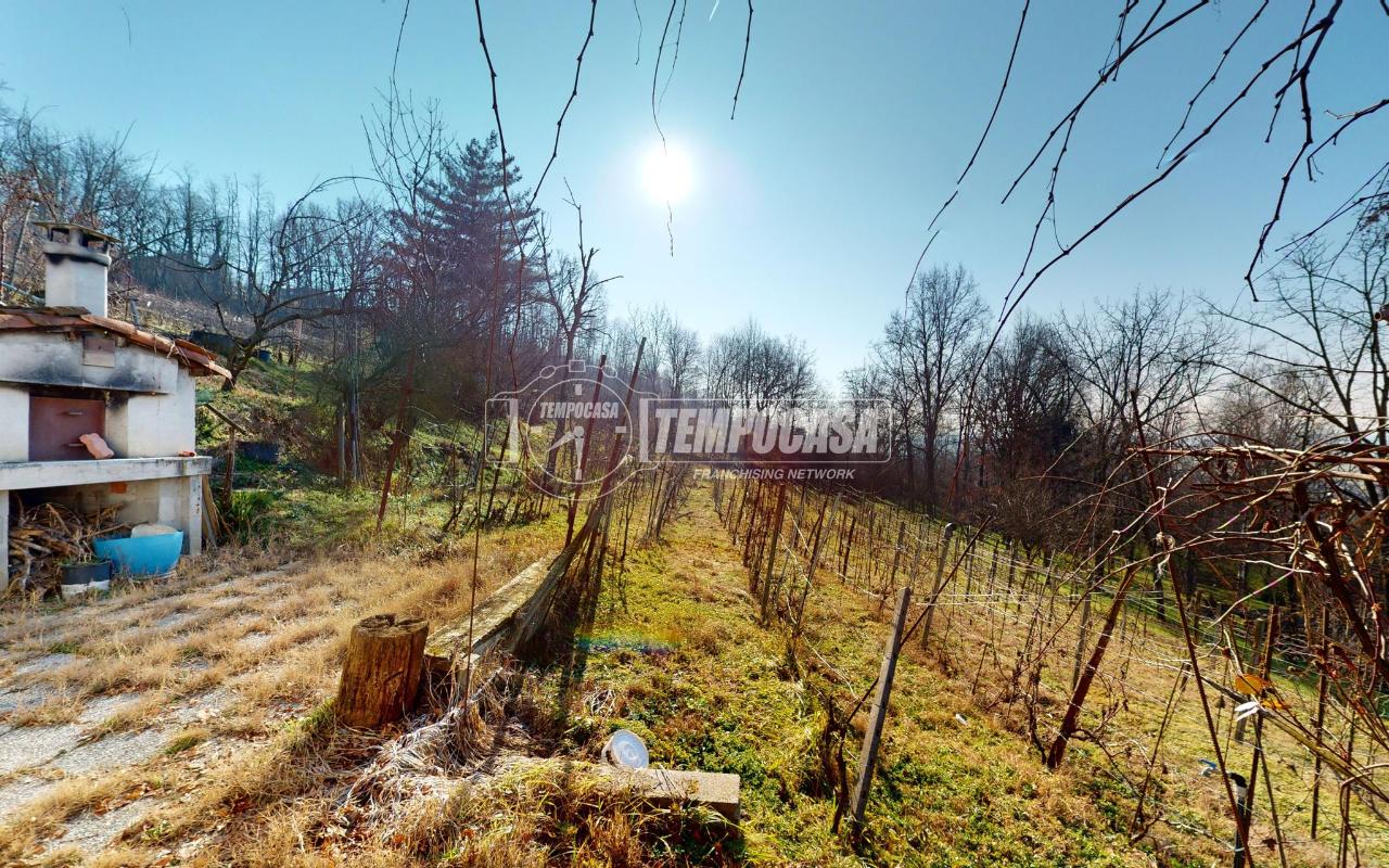 immagine annuncio 5 di 12