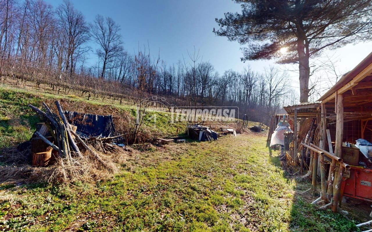 immagine annuncio 6 di 12