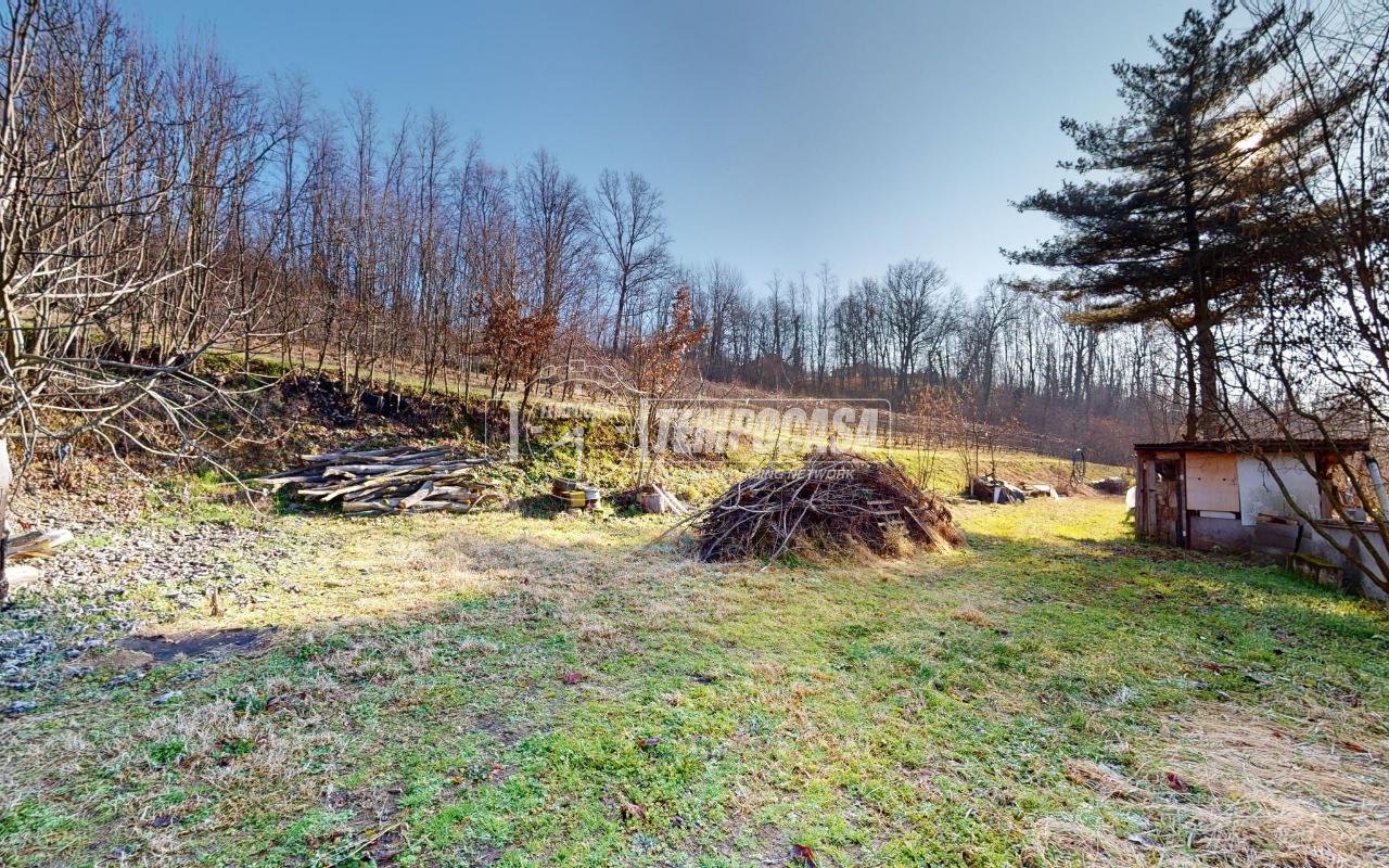 immagine annuncio 8 di 12