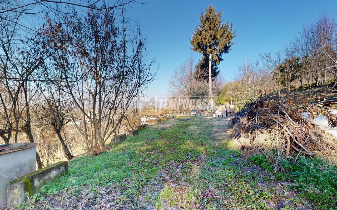 immagine annuncio 10 di 12