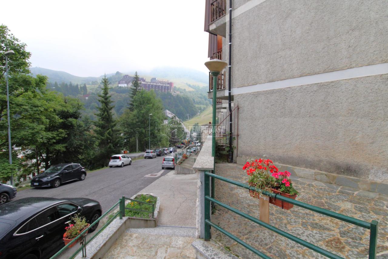 immagine annuncio 1 di 13