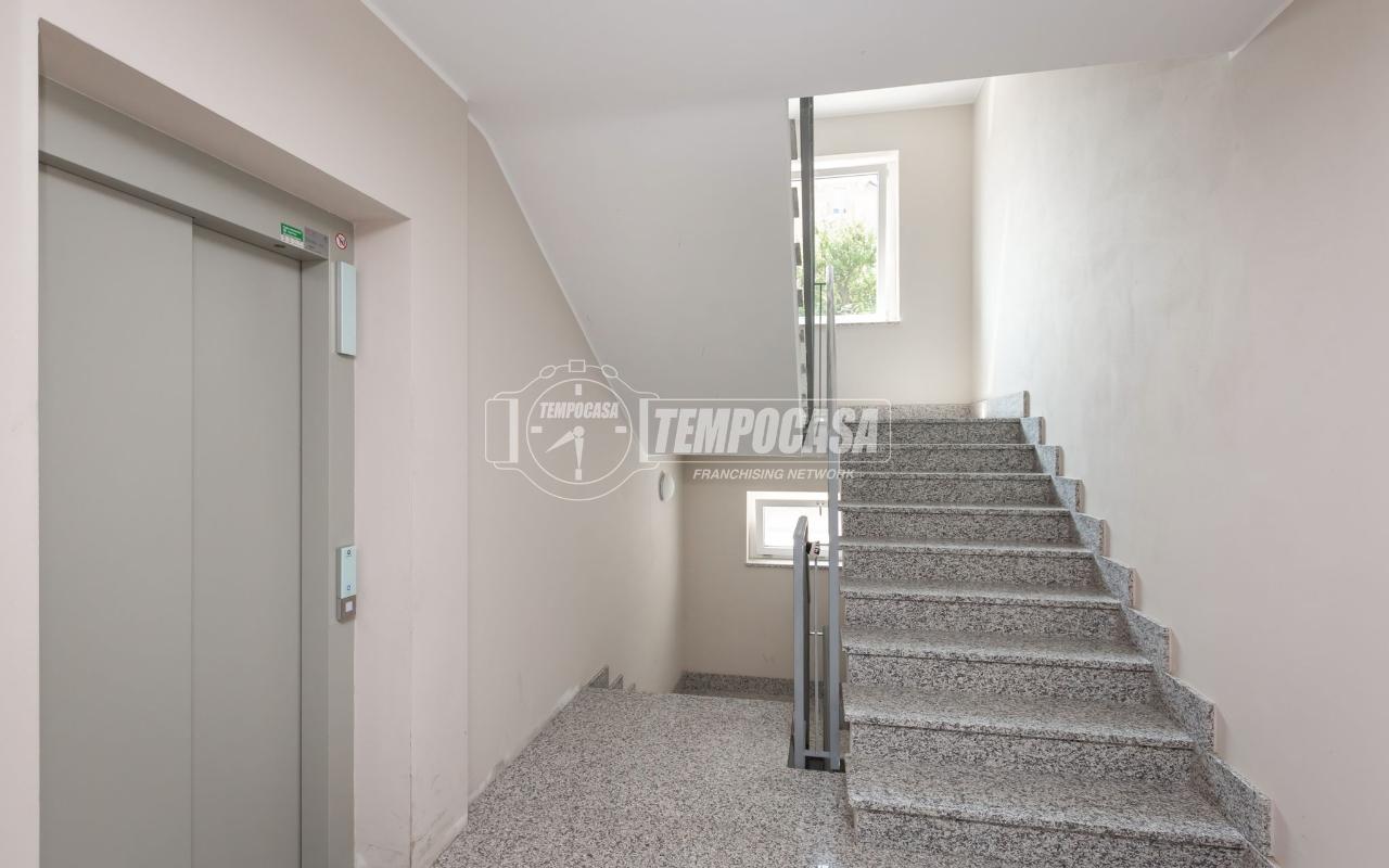 immagine annuncio 10 di 12