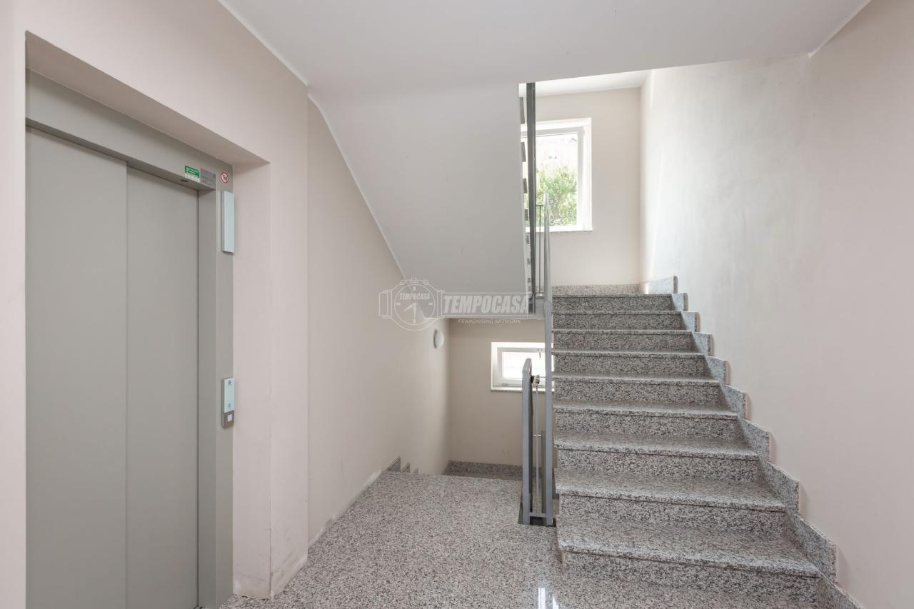 immagine annuncio 10 di 12