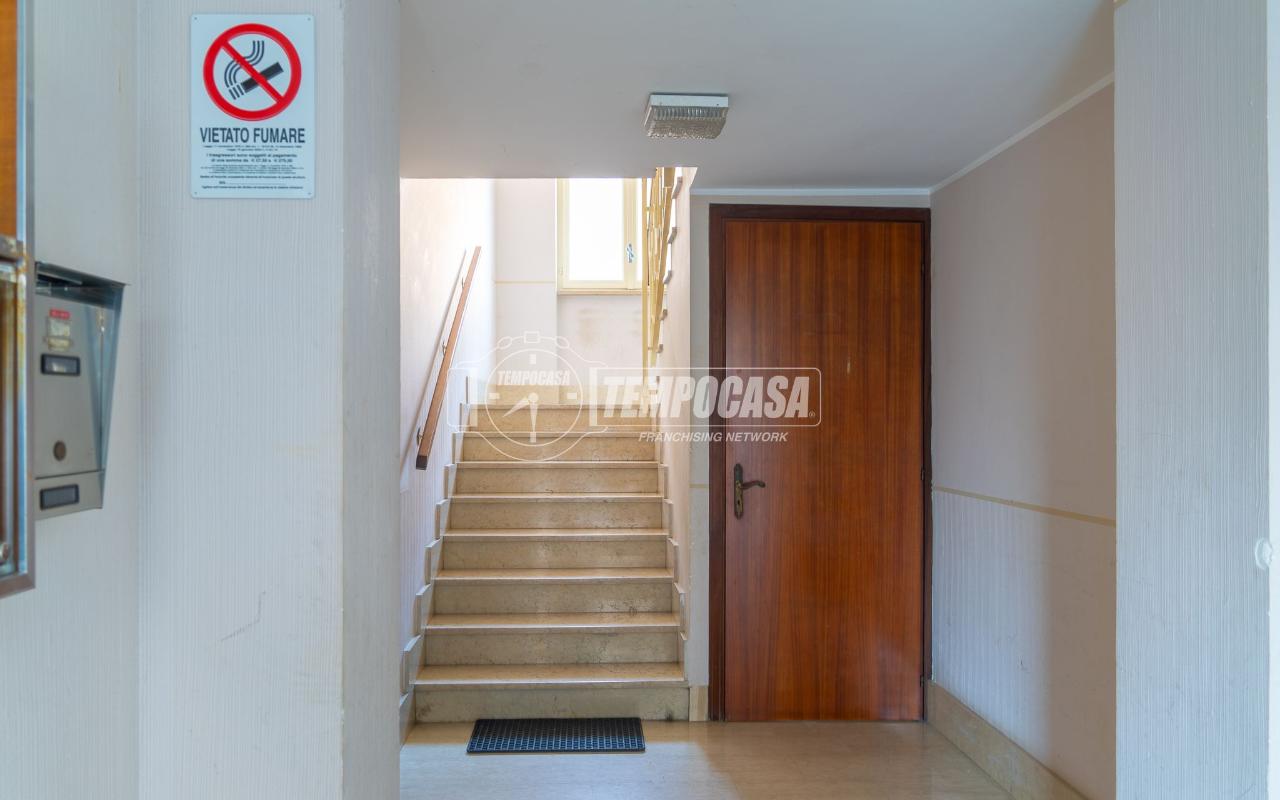 immagine annuncio 12 di 14
