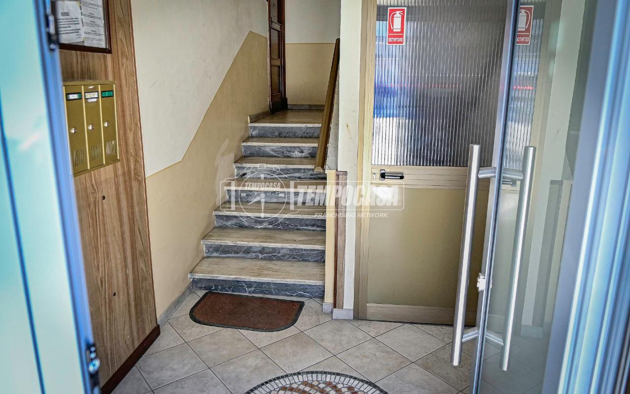 immagine annuncio 11 di 14