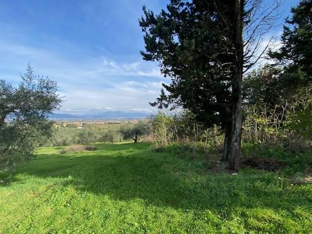 Casa colonica, Poggio a Caiano - Foto 1