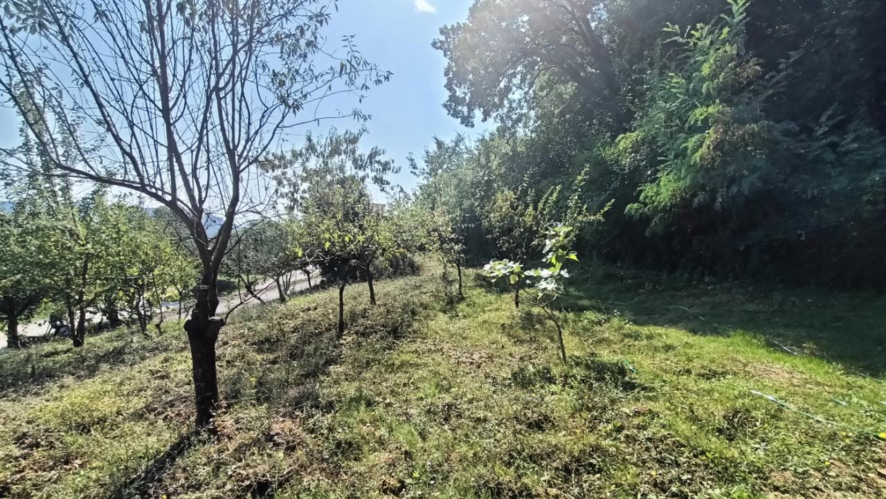 immagine annuncio 5 di 11
