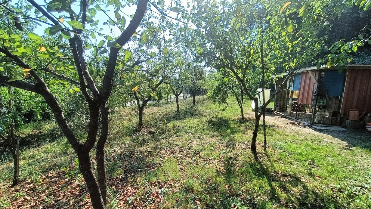 immagine annuncio 8 di 11
