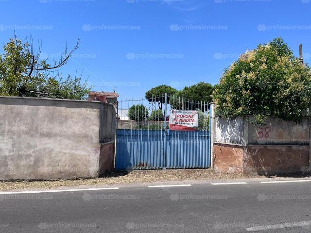 Agricultural land in Via Procellaria, Ardea - Photo 1