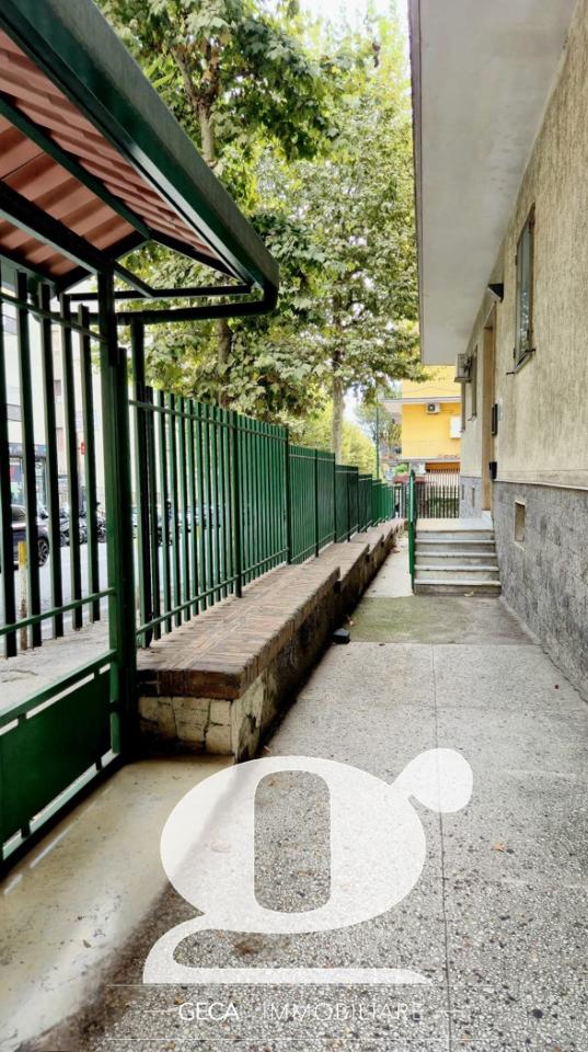 immagine annuncio 6 di 16