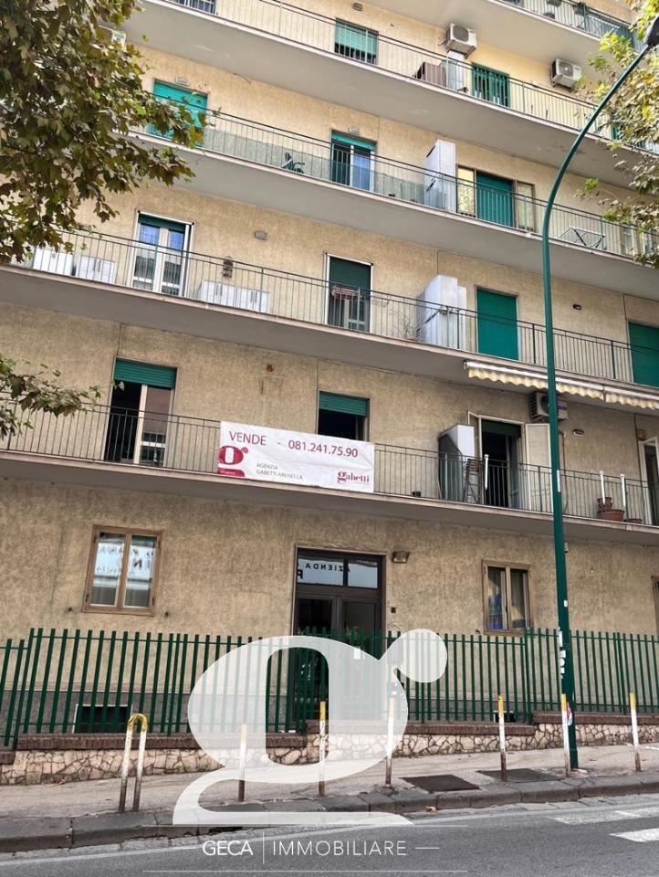 immagine annuncio 3 di 16