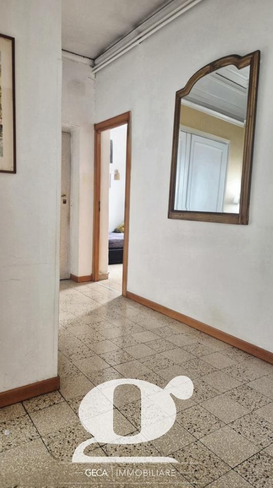 immagine annuncio 11 di 16