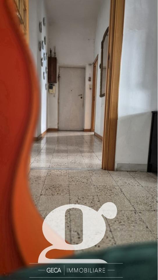 immagine annuncio 10 di 16