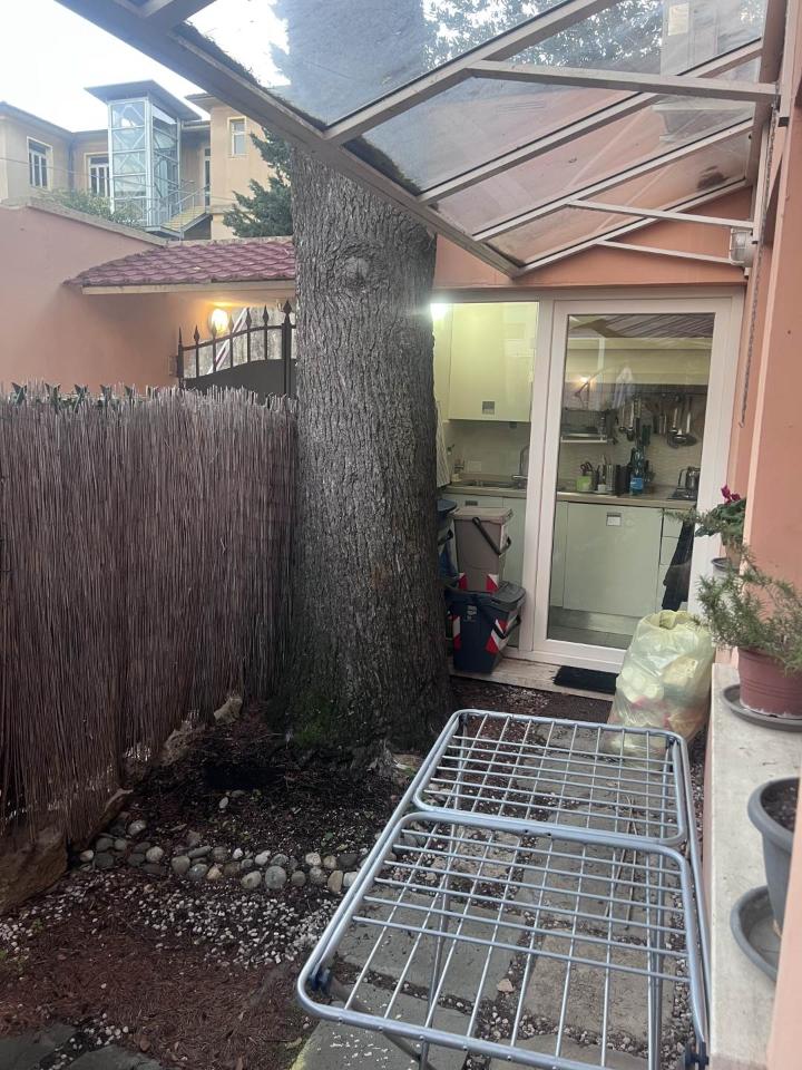 immagine annuncio 6 di 11