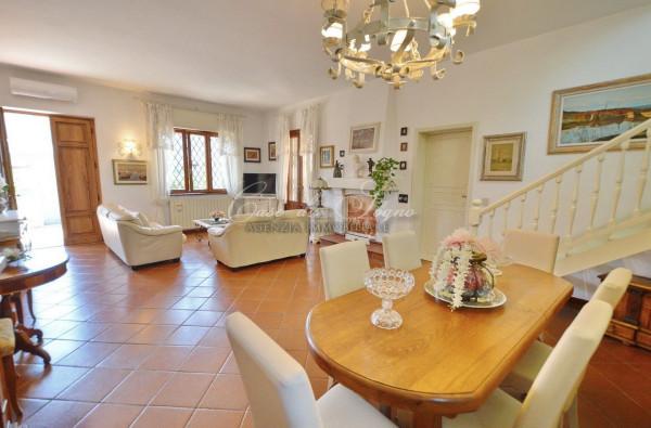 immagine annuncio 7 di 13