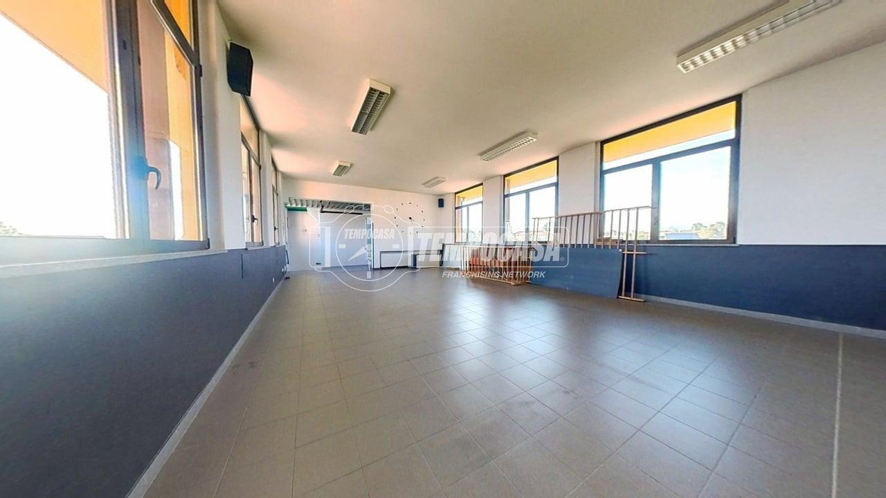 immagine annuncio 9 di 13