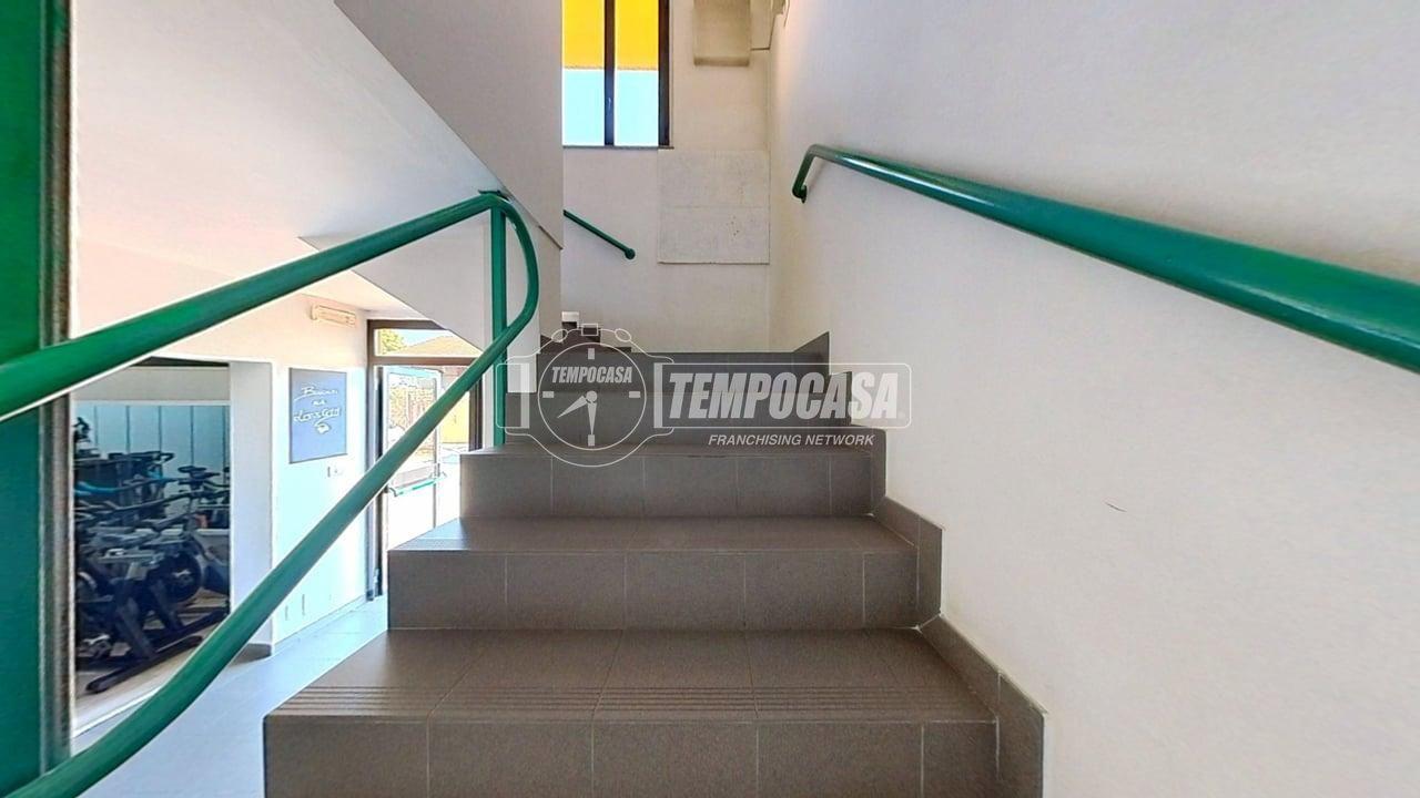 immagine annuncio 6 di 13