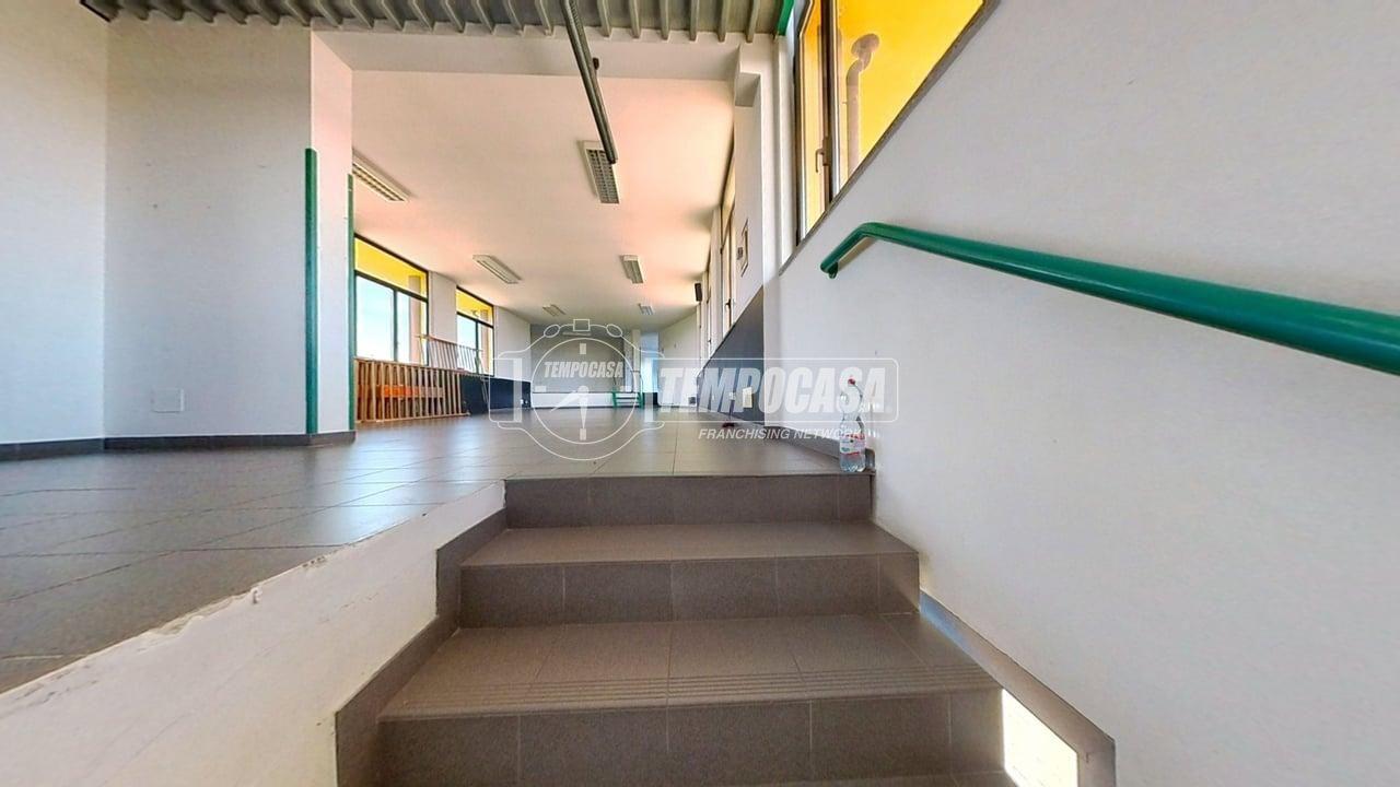 immagine annuncio 7 di 13