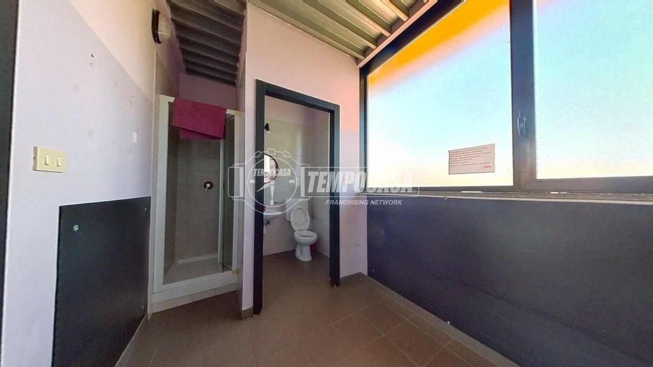 immagine annuncio 11 di 13